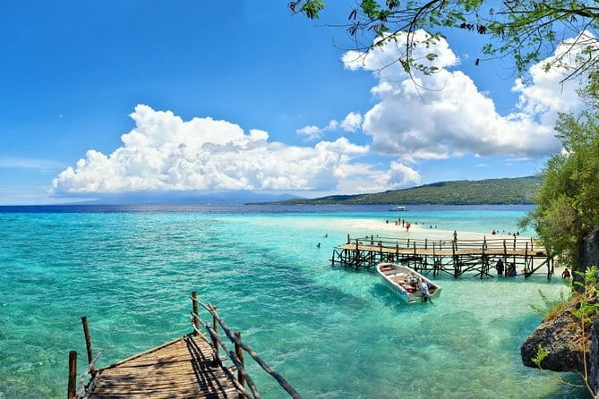 Oslob Whale Shark & Tumalog Waterfalls & Sumilon Sandbar - Why this Cebu day trip takes the whole day