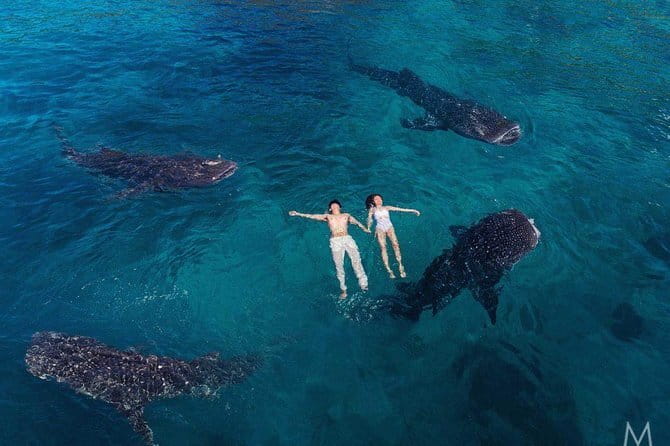 Oslob Whale Shark & Tumalog Waterfalls & Sumilon Sandbar - Cooling off at Tumalog Falls