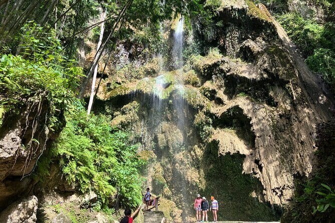 Oslob Whale Shark & Tumalog Waterfalls & Sumilon Sandbar - The early ride from Cebu City or Mactan Island