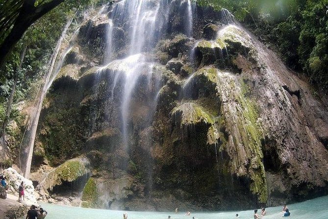 Oslob Whale Shark watching + Canyoneering Adventure Tour - The 3:30 a.m. pickup from Cebu, Mandaue, or Mactan