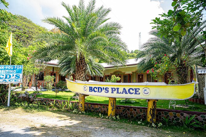Oslob Whale Sharks and Moalboal Sardine Run, Sea Turtles Tour - The 3 a.m. Start and the Long Cebu Road
