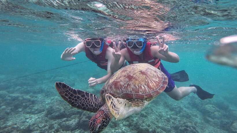 Oslob: Whale Sharks, Inambakan Falls & Moalboal Sardines - The private vehicle matters more than the headline price