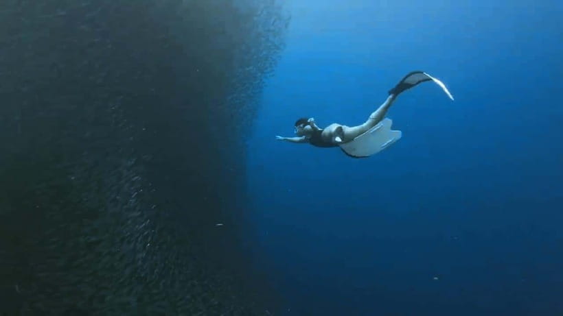 Oslob: Whale Sharks, Inambakan Falls & Moalboal Sardines - What to pack for a wet, very early day