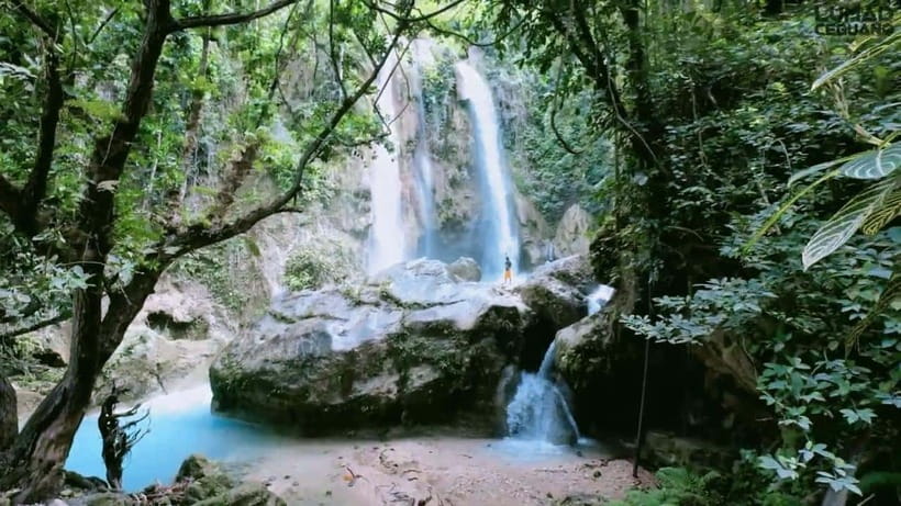 Oslob: Whale Sharks, Inambakan Falls & Moalboal Sardines - Is the $132 price worth it?