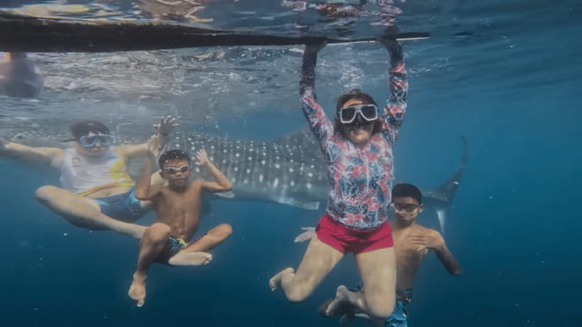 Oslob: Whale Sharks, Tumalog Falls & Sumilon Trio Adventure - Meeting Oslob’s whale sharks by boat