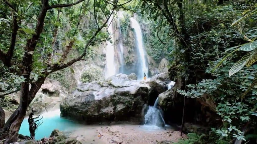 Oslob: Whaleshark Swimming, Inambakan Falls & Moalboal Tour - Moalboal’s sardine run at Panagsama Beach