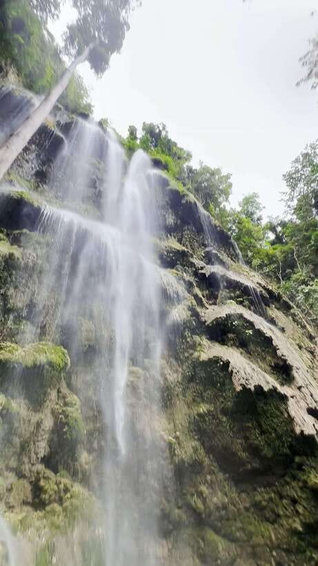 Oslob: Whaleshark Swimming, Tumalog Falls & Sumilon Island - Who will enjoy this most