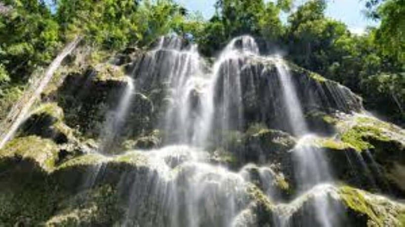 Oslob: Whaleshark Swimming, Tumalog Falls & Sumilon Island - The real shape of this Oslob day trip