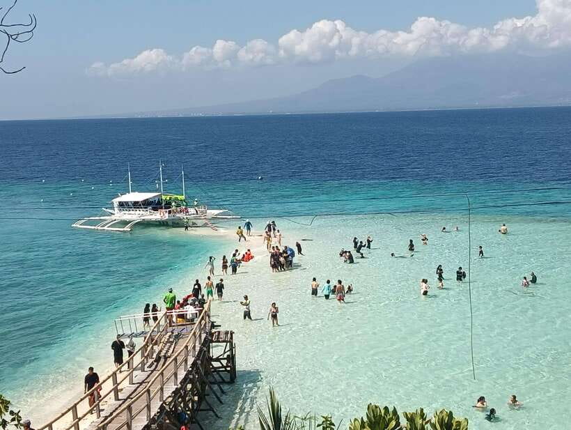 Oslob: Whaleshark Watching, Sumilon Island & Monkey Viewing - Why the whale sharks come with a big caveat