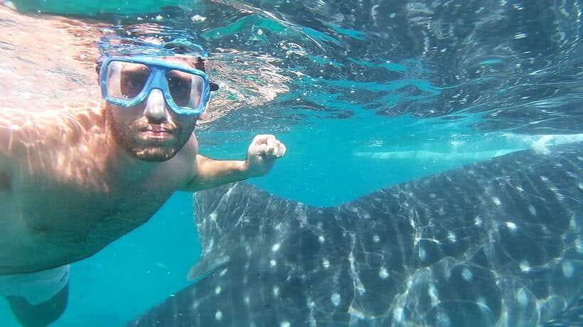 Oslob: Whaleshark Watching, Sumilon Island & Monkey Viewing - Lunch is separate, so plan for it