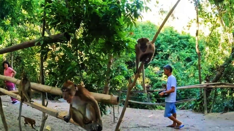 Oslob: Whaleshark Watching, Sumilon Island & Monkey Viewing - Oslob’s Cuartel adds a small historical stop