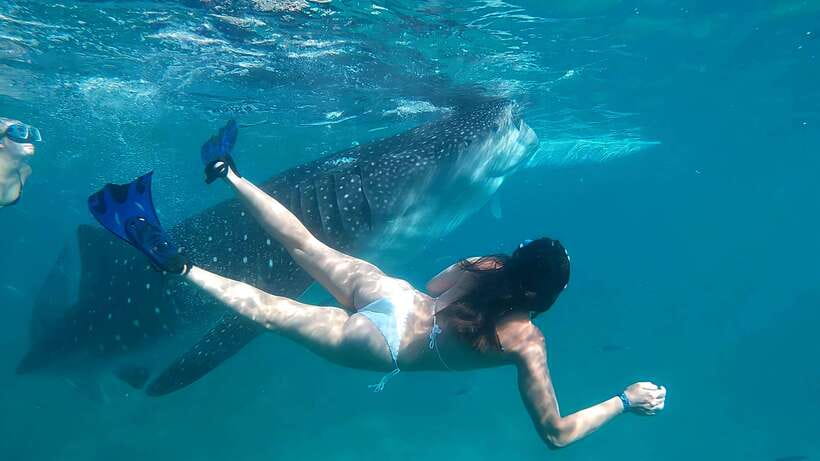 Oslob: Whaleshark Watching, Tumalog Falls & Sumilon Island - Should you book the Oslob, Tumalog Falls, and Sumilon tour?