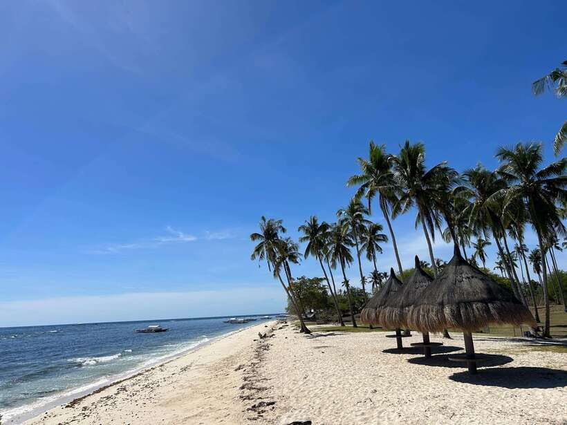 Pamilacan island: Dolphins, snorkel, lunch and walking tour - Leaving Panglao before the heat