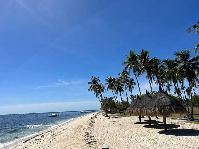 Pamilacan island: Dolphins, snorkel, lunch and walking tour - The return to Panglao