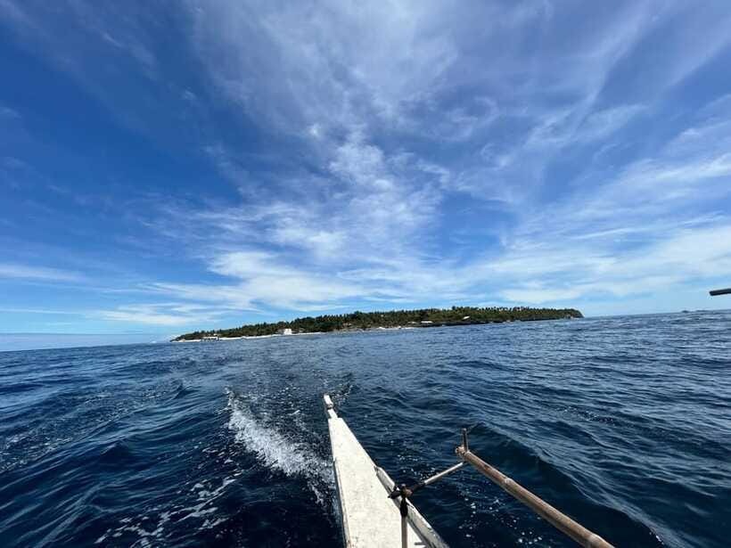 Pamilacan island: Dolphins, snorkel, lunch and walking tour - Practical planning for a smoother day