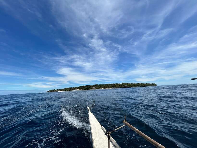 Pamilacan island: Dolphins, snorkel, lunch and walking tour - Dolphin watching on the Bohol Sea