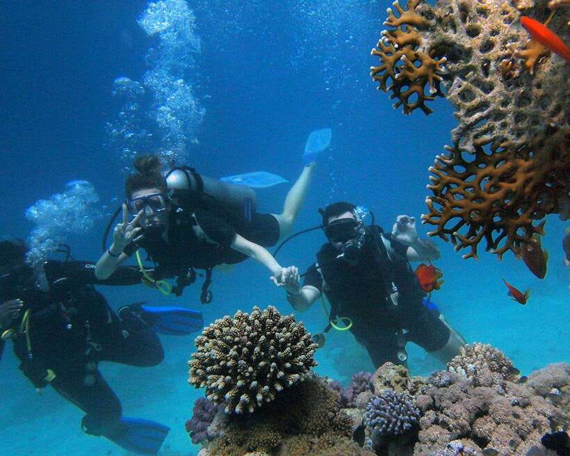 Panglao Bohol: Try Scuba Diving at Napaling and Sardines - Training for non-swimmers and first-timers