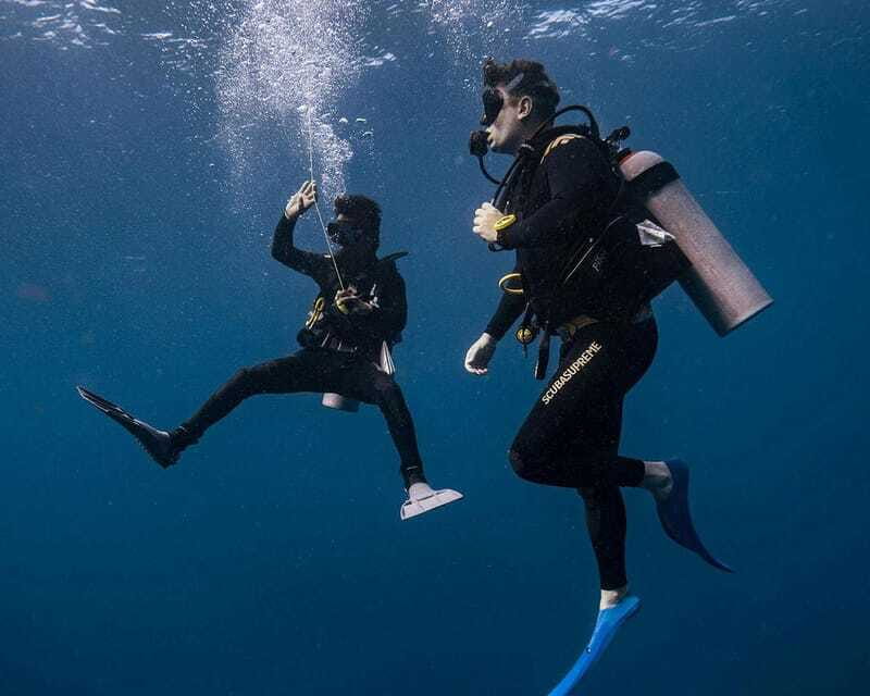 Panglao Bohol: Try Scuba Diving at Napaling and Sardines - Who will get the most from this experience