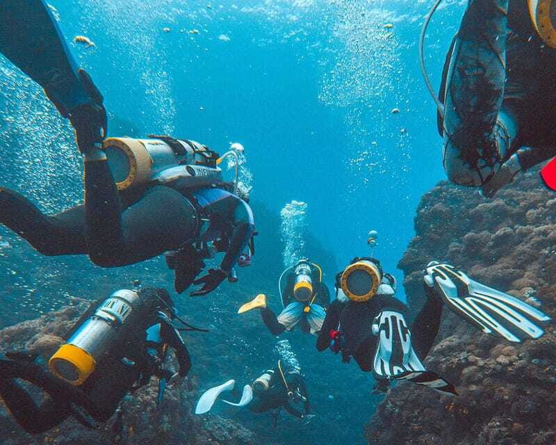 Panglao Bohol: Try Scuba Diving at Napaling and Sardines - Should you book the Napaling sardine session?