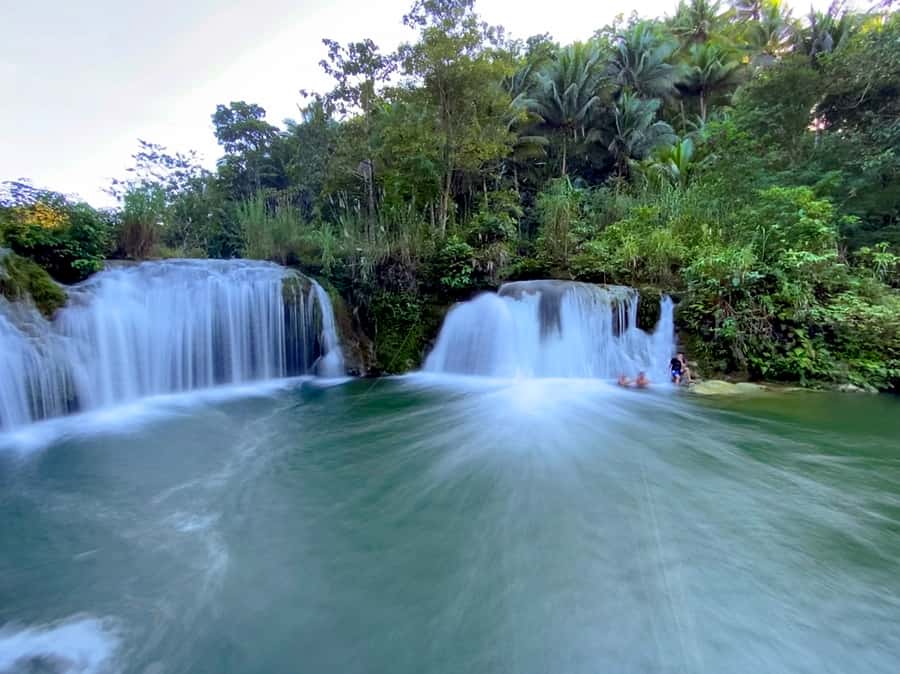 Panglao: Dao, Forests, and Tarsier Sanctuary Tour with Lunch - What the $144 price includes
