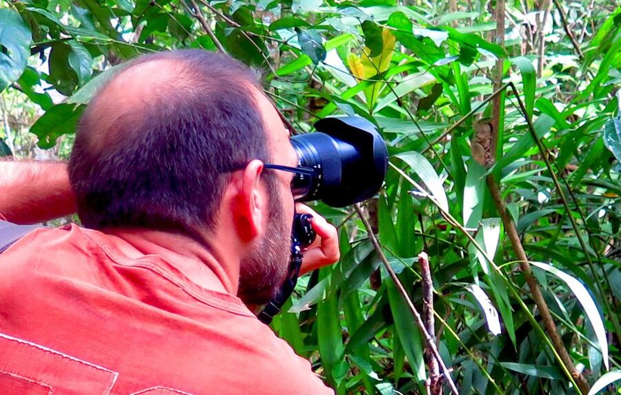 Panglao: Dao, Forests, and Tarsier Sanctuary Tour with Lunch - Cooling off at an unnamed jungle waterfall
