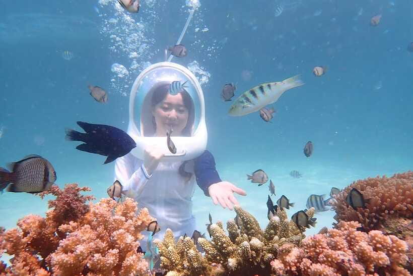 Panglao: Helmet Diving Experience with Photos and Videos - What the Panglao helmet experience is really like