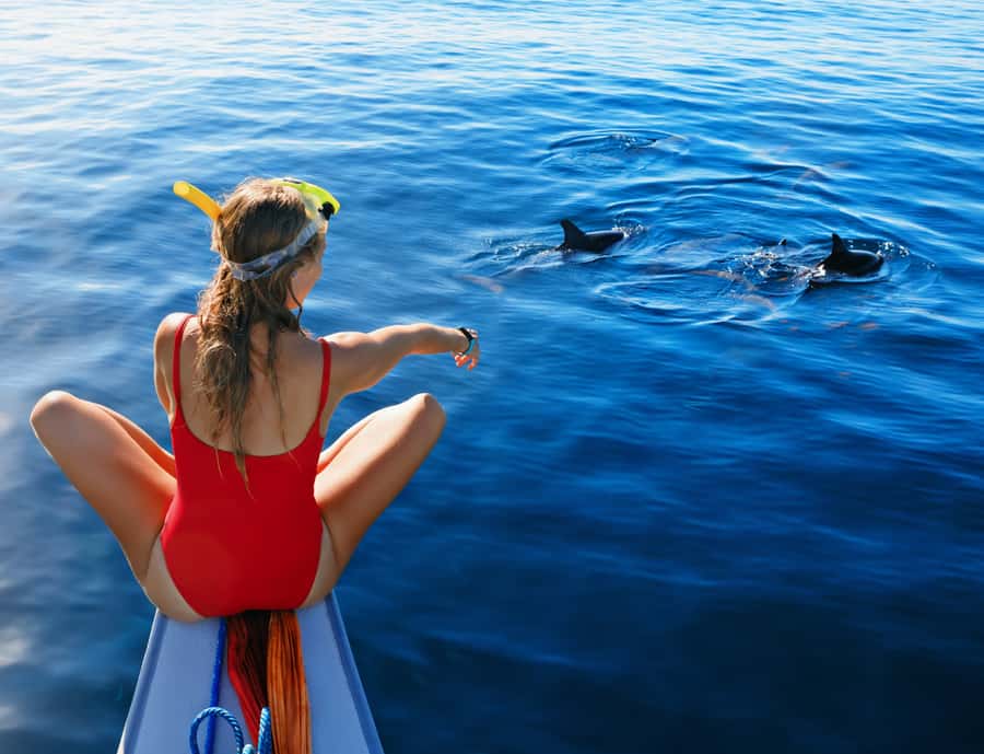 Panglao: Island Hopping w/Balicasag (Shared) - Should you book Panglao’s Balicasag shared tour?