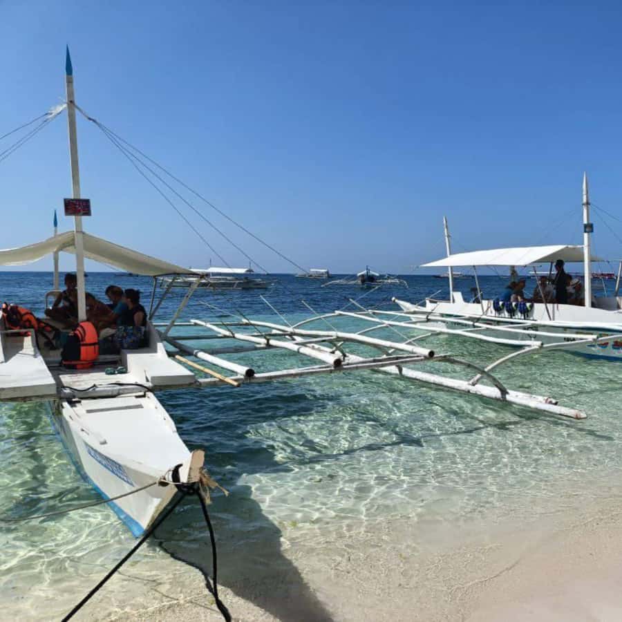 Panglao: Island Hopping w/Balicasag (Shared) - Balicasag’s fish, coral, and protected reef