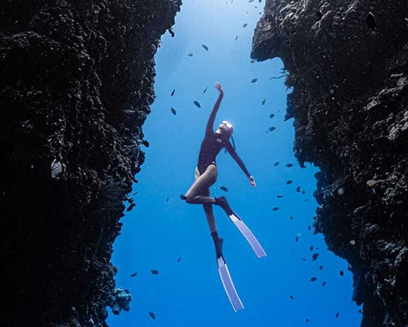 Panglao: Napaling Reef and Sardines Freediving Experience - Who will enjoy this most