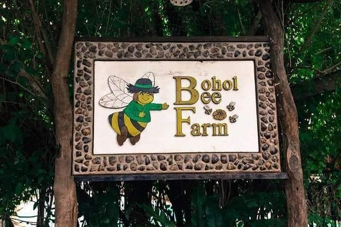 Panglao's Best Hinagdanan Cave, Bee Farm, Mirror of the World - Hinagdanan Cave and the blue-lit start to the day