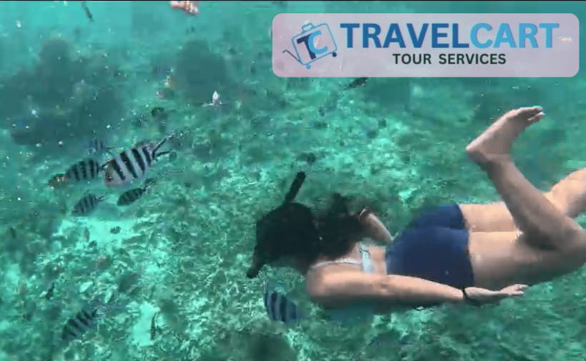 PORT BARTON: Full-day Shared Island Hopping Tour A - Who should book this Port Barton boat tour?