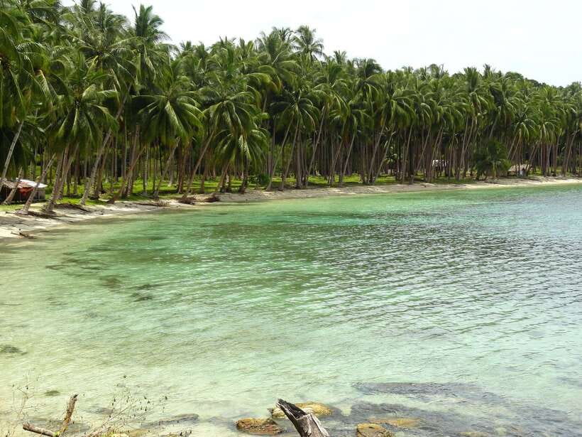 Port Barton: Island Hopping to Turtle Spot & Reef with Lunch - A local BBQ lunch on the beach
