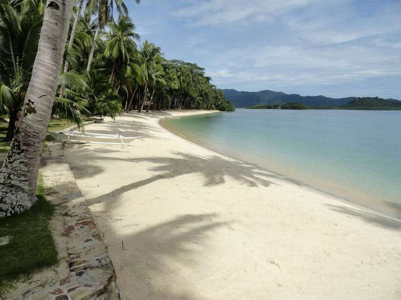 Port Barton: Island Hopping to Turtle Spot & Reef with Lunch - The crew, music, and pace
