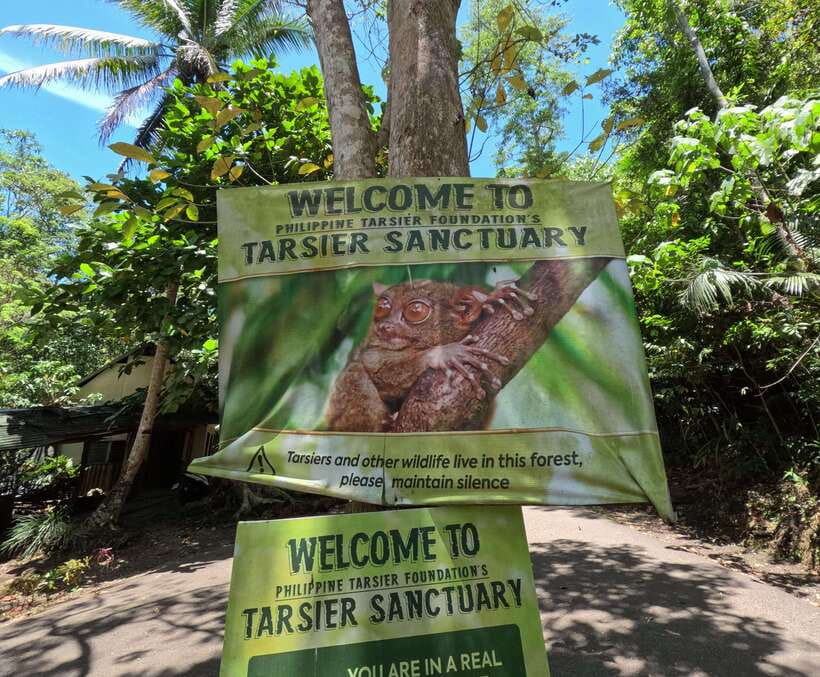 PREMIUM Bohol Eco-Tours: Chocolate hills - Starting in Corella with the tiny tarsiers