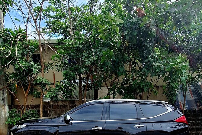 Private Airport Transfer Manila to Hotel in Manila or vice versa - Who should book this private transfer?