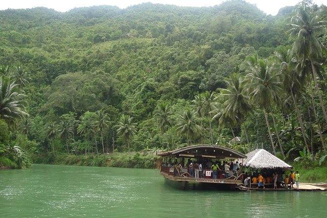 Private Bohol and Chocolate Hills with Loboc River Cruise - Meeting Bohol’s tiny tarsiers in Corella