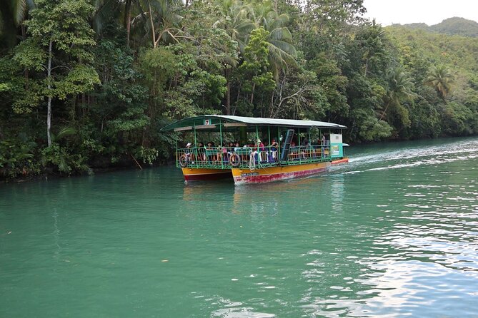 Private Bohol and Chocolate Hills with Loboc River Cruise - What the private format is really worth