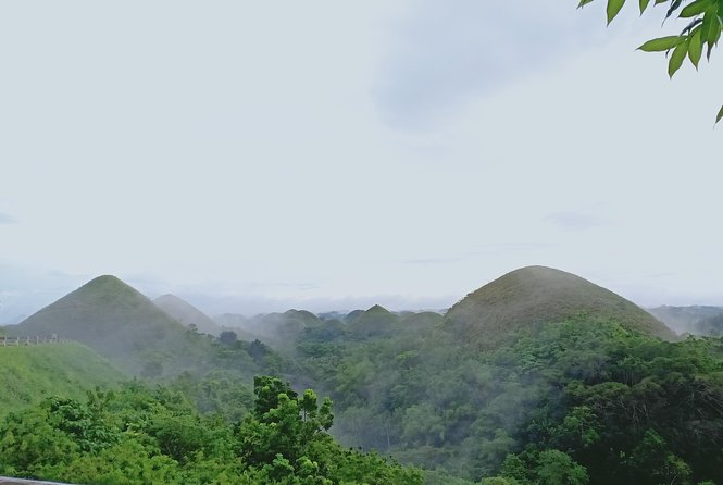 Private Day Trip Cebu to Bohol w/ Chocolate Hills & Loboc Cruise - Mahogany forest, butterflies, and other optional stops