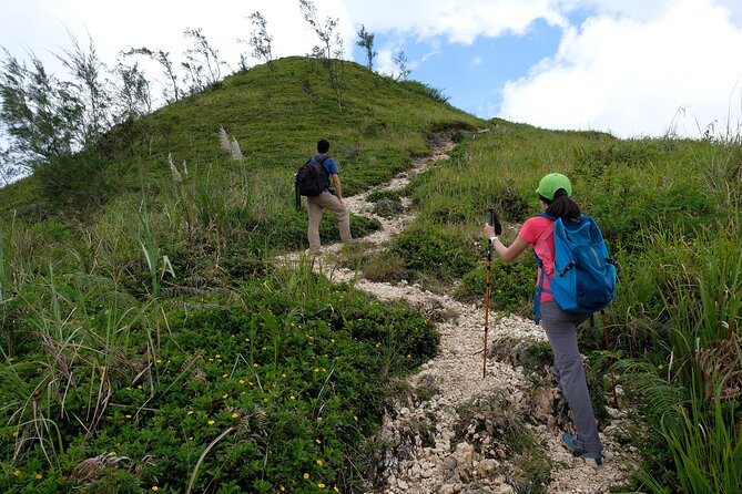 Private Kawasan Falls and Osmena Peak Day Trip from Cebu City - What a private tour changes