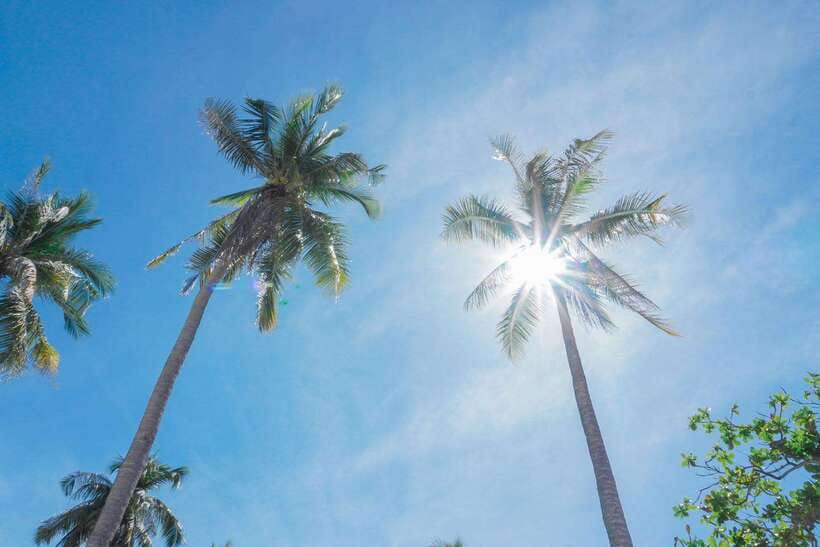 Puerto Princesa: Cowrie Island Guided Day Tour with Meal - Barbecue lunch by the shoreline