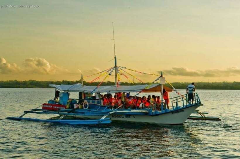 Puerto Princesa: Firefly Watching Bay Cruise with Dinner - Who should book this Puerto Princesa evening?