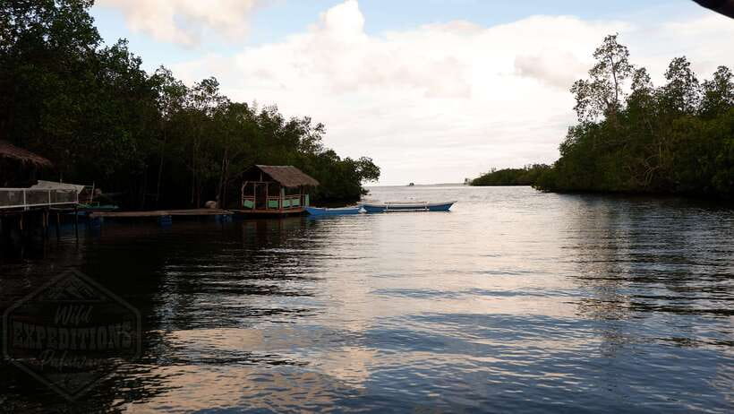 Puerto Princesa: Firefly Watching Paddle Boat Tour & Dinner - Why this firefly tour works so well at night