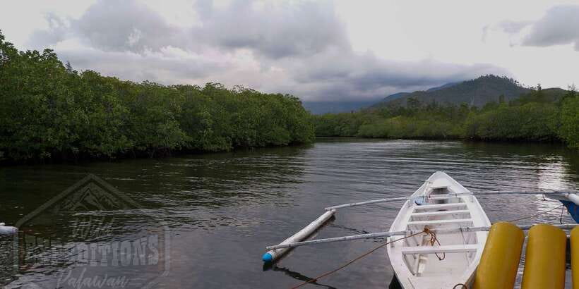 Puerto Princesa: Firefly Watching Paddle Boat Tour & Dinner - Weather, comfort, and the long return