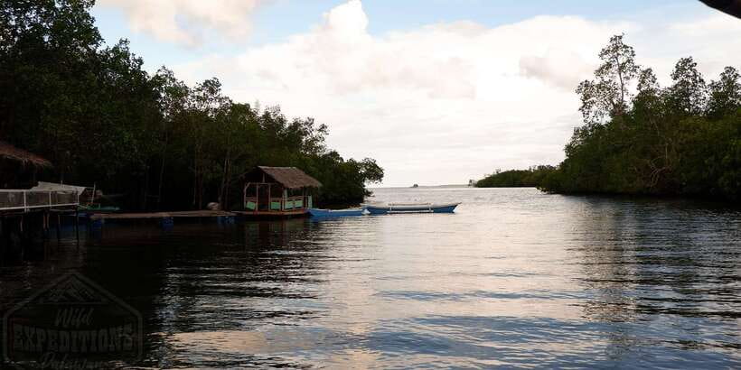 Puerto Princesa: Firefly Watching Paddle Boat Tour & Dinner - Who should book this evening?