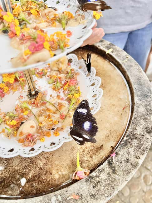 Puerto Princesa: Half Day City Tour with Butterfly Garden - Key points to know before booking