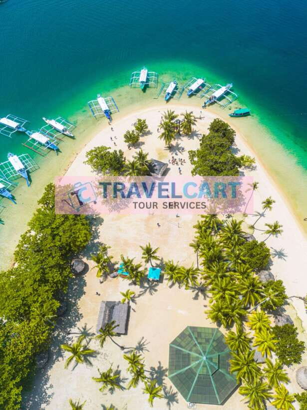 Puerto Princesa Honda Bay Island Hopping - Pambato Reef: start with the bay’s marine life