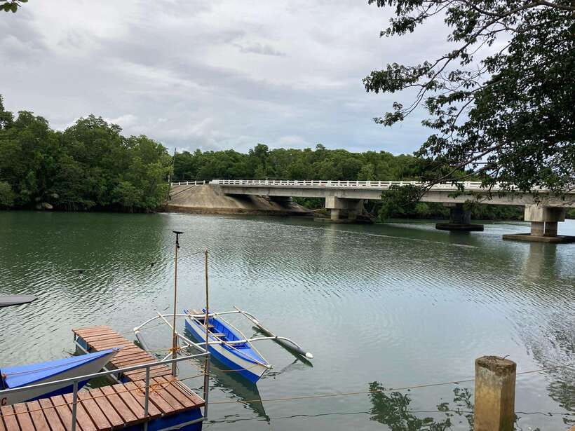 Puerto Princesa: Iwahig Firefly Watching & River Cruise - Optional dinner, live music, and the value of staying