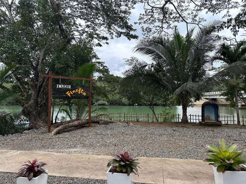 Puerto Princesa: Iwahig Firefly Watching & River Cruise - Should you book the Iwahig firefly cruise?