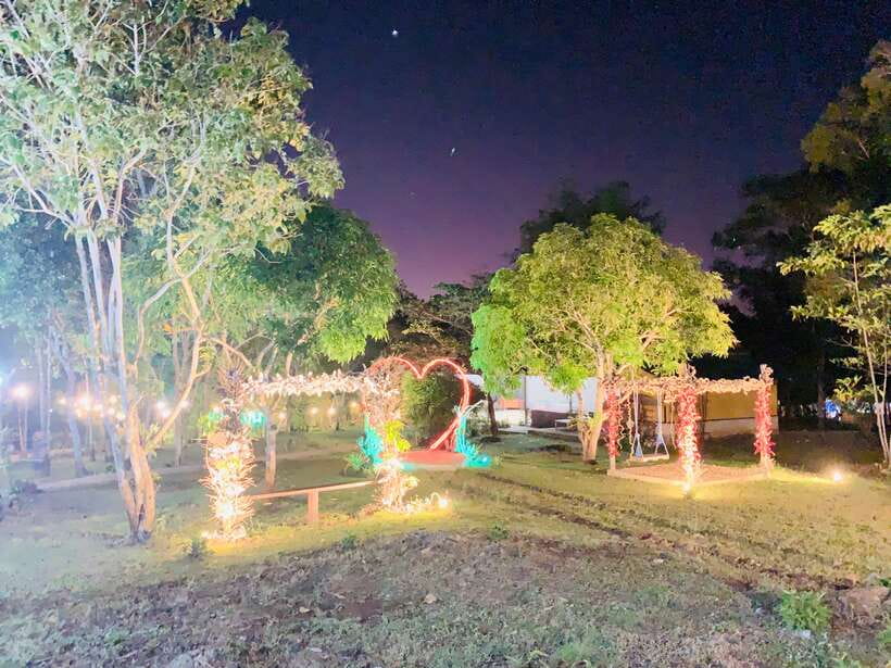 Puerto Princesa: Jungle Firefly Watching Boat Tour & Dinner - Should you book the Puerto Princesa firefly tour?
