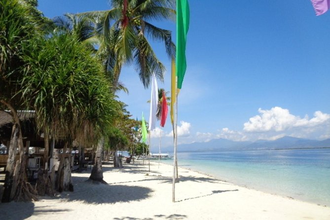 Puerto Princesa shore excursion to Luli, starfish, cowrie island - Key points to know before booking